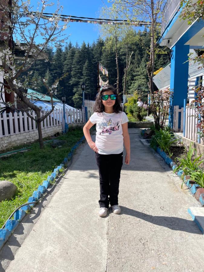 Ats -Manali Hostel Εξωτερικό φωτογραφία